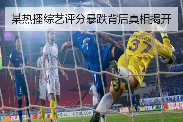 某热播综艺评分暴跌背后真相揭开